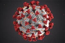 Coronavirus  -Proroga dello stato di emergenza fino al 31 marzo 2022
